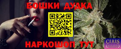 ешки Бердск