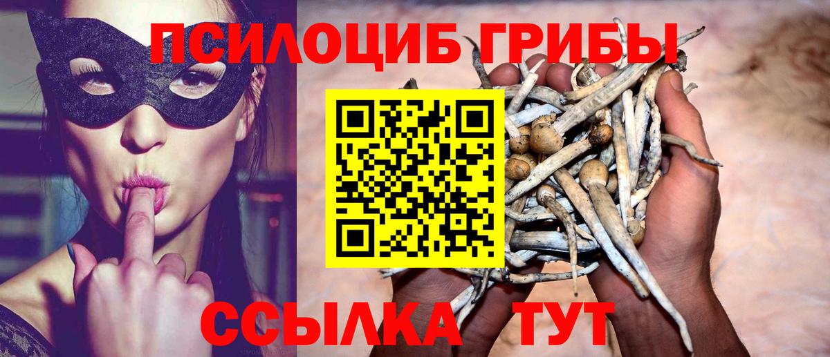 Ангарск  Галлюциногенные грибы прущие грибы  Вход с VPN 